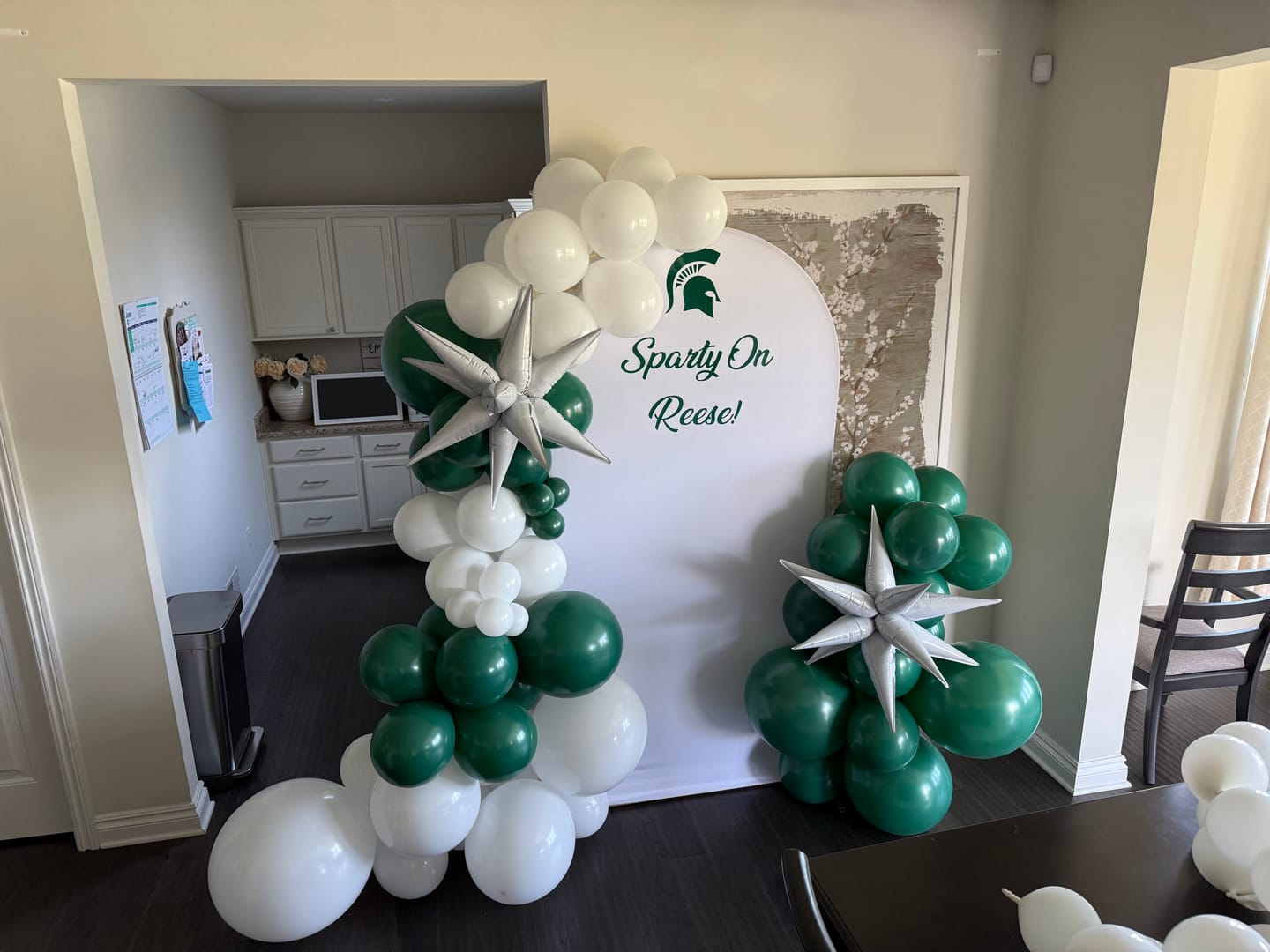 Customer photo review of Create Your Own Balloon Garland Kit