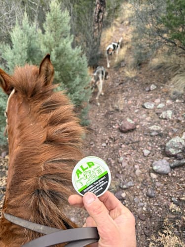 Customer photo review of Spearmint Nicotine Pouches