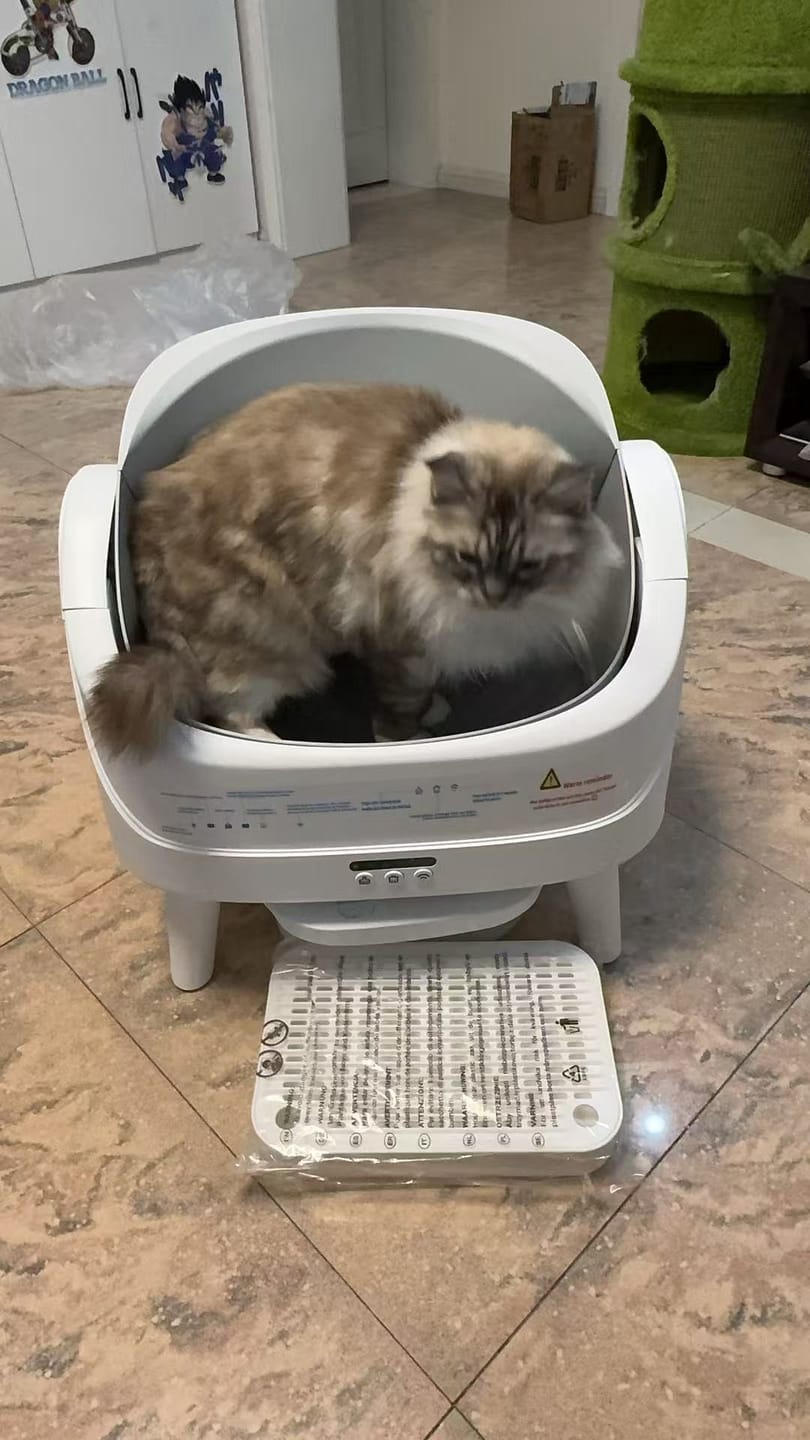 Customer photo review of Petbuds™ Open One 2026 Open-Top Self-Cleaning Litter Box