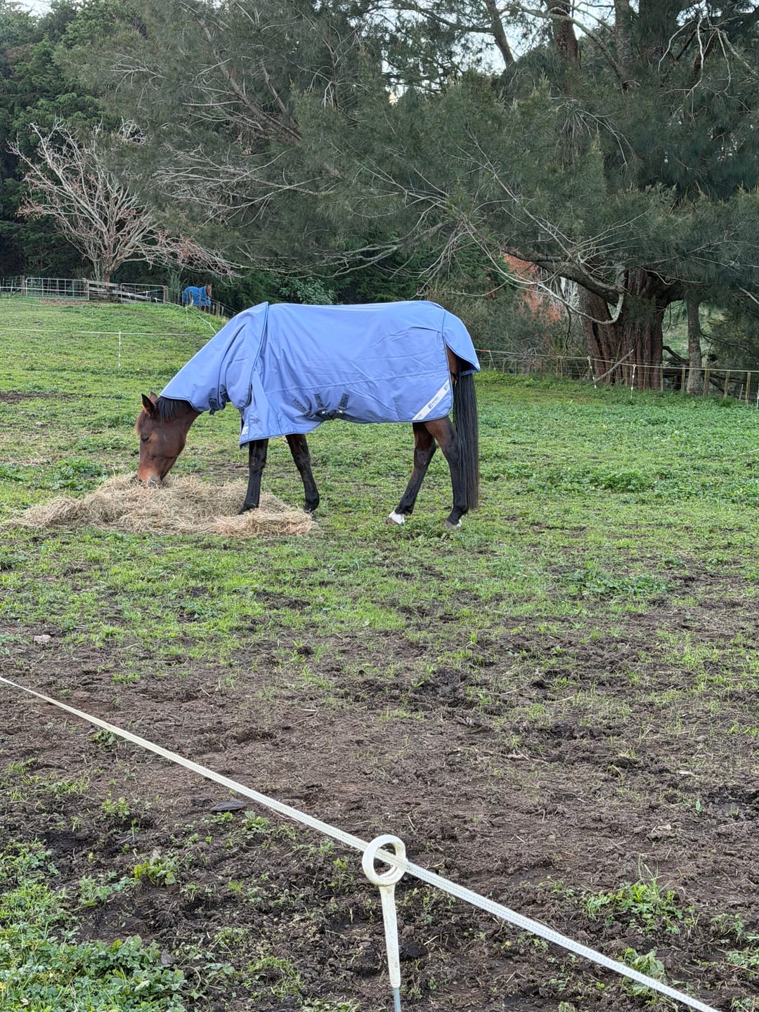 Customer photo review of LE Boxter Turnout Ripstop 50g