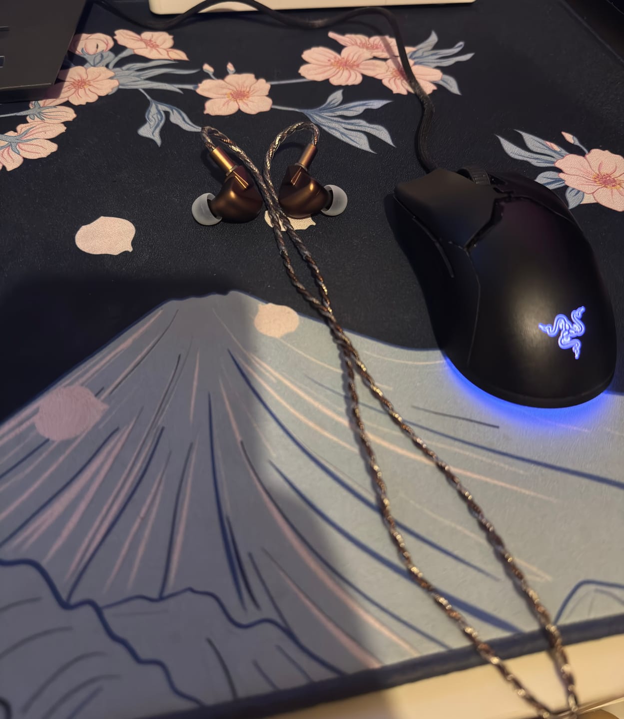 Customer photo review of LETSHUOER S12 Ultra IEM Kulaklık