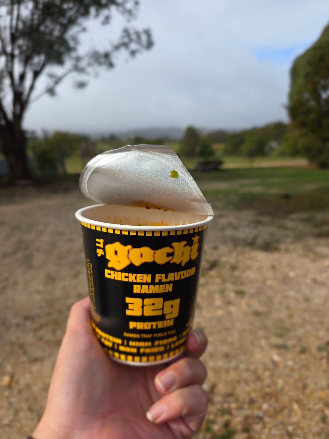 Customer photo review of V1 - GOCHI High Protein Ramen