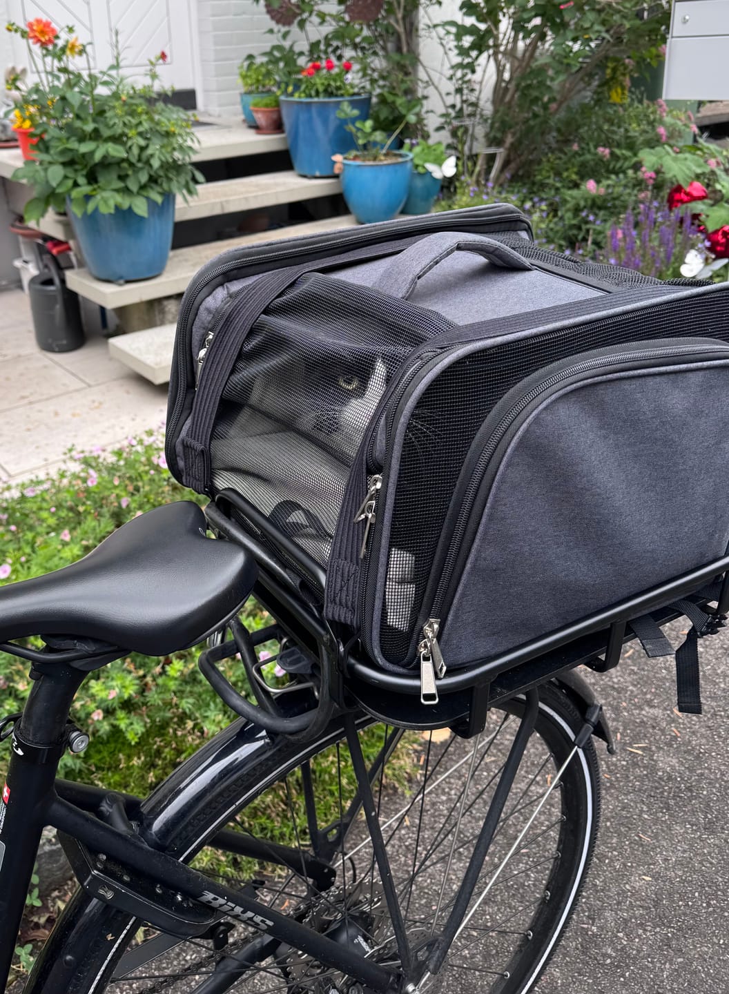 Customer photo review of Velokorb PACKI