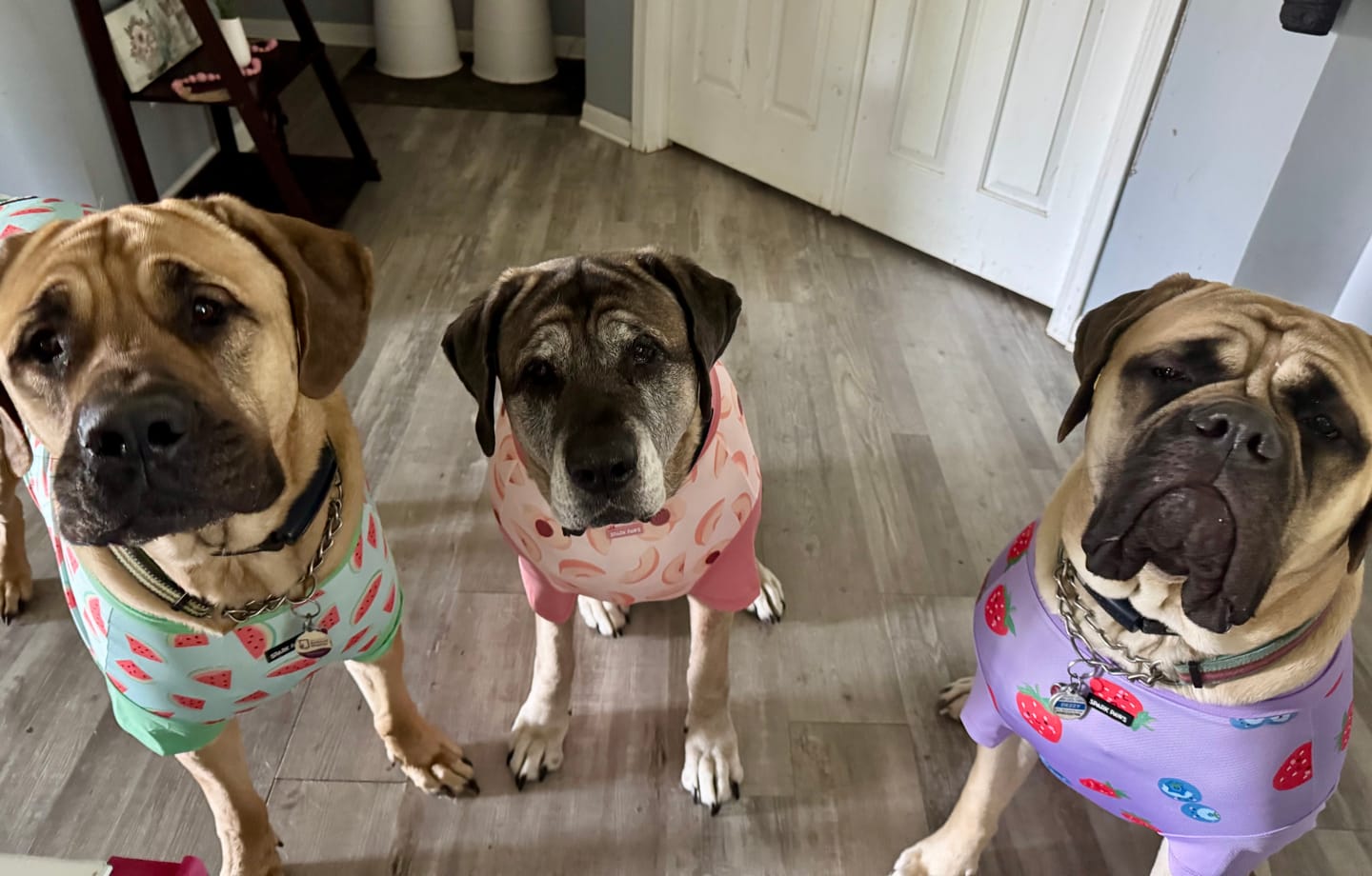 Customer photo review of Sunblock T-Shirt 3 Pack