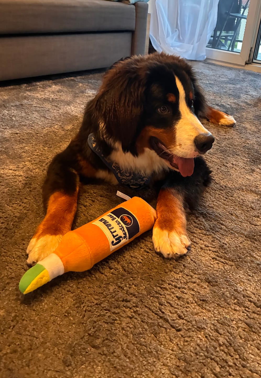 Customer photo review of The Sister‘s Secret DOG Box 🐾