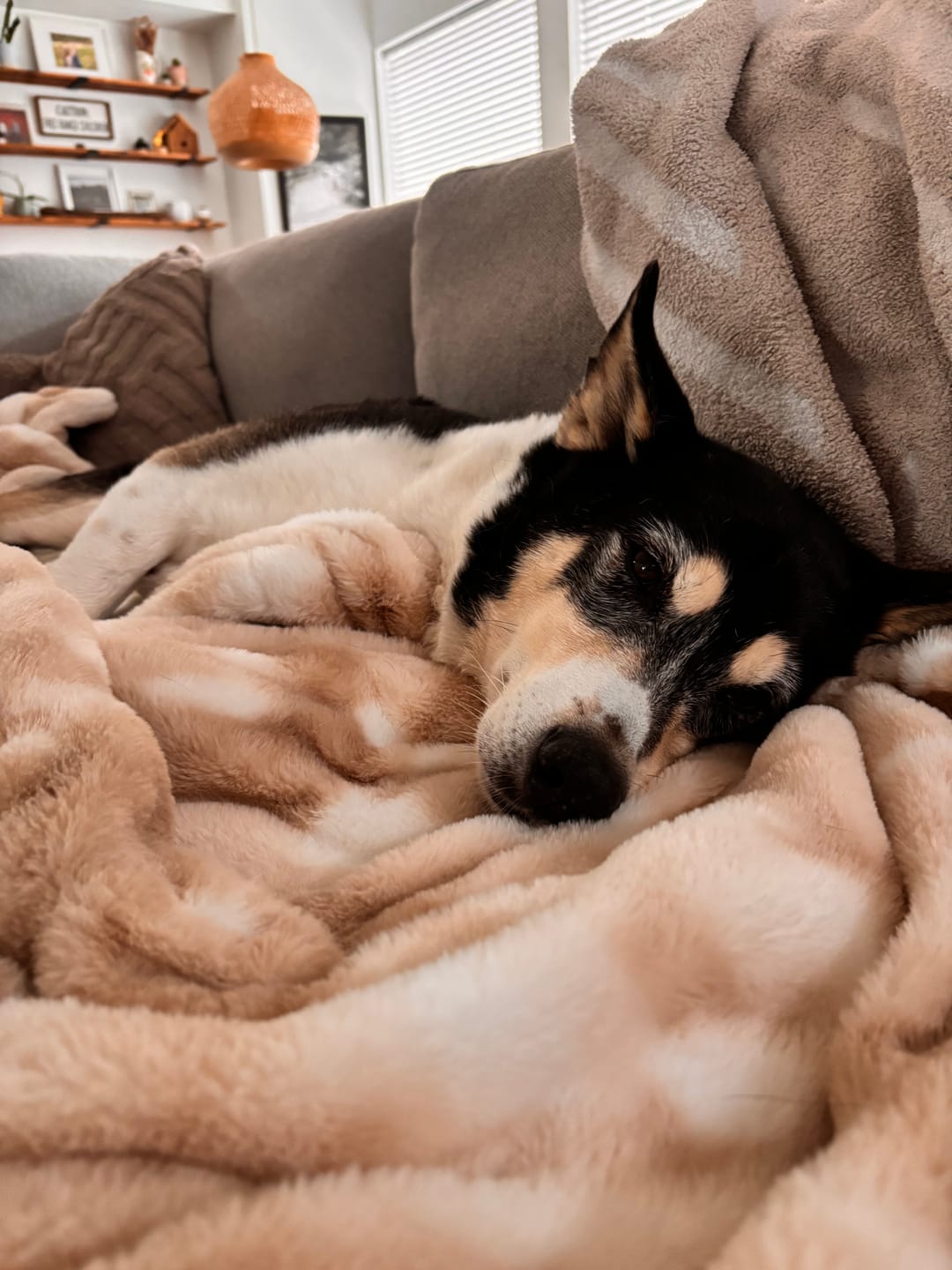 Customer photo review of Smokey Clouds Minky Blanket