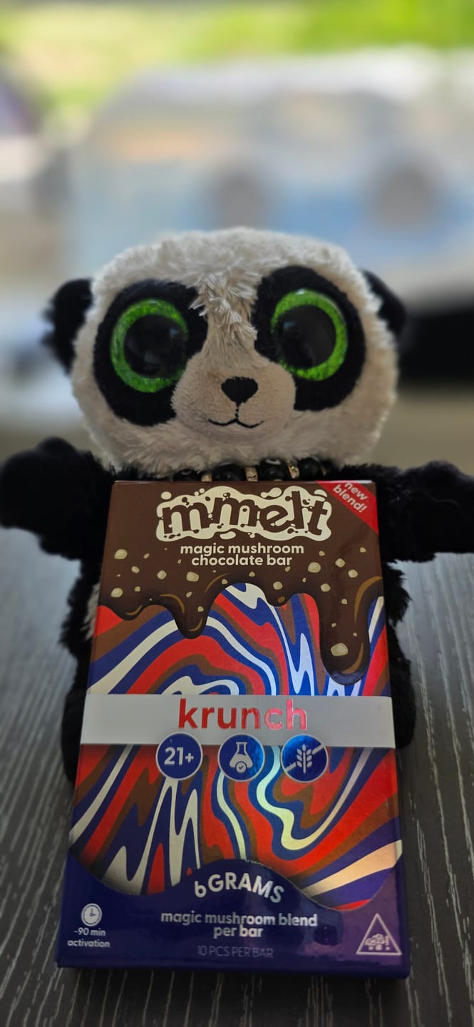 Customer photo review of Mushroom Chocolates