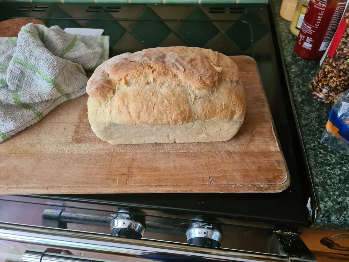 Customer photo review of 5L/7L Dough Kneading Machine Electric Mixer with Fermentation