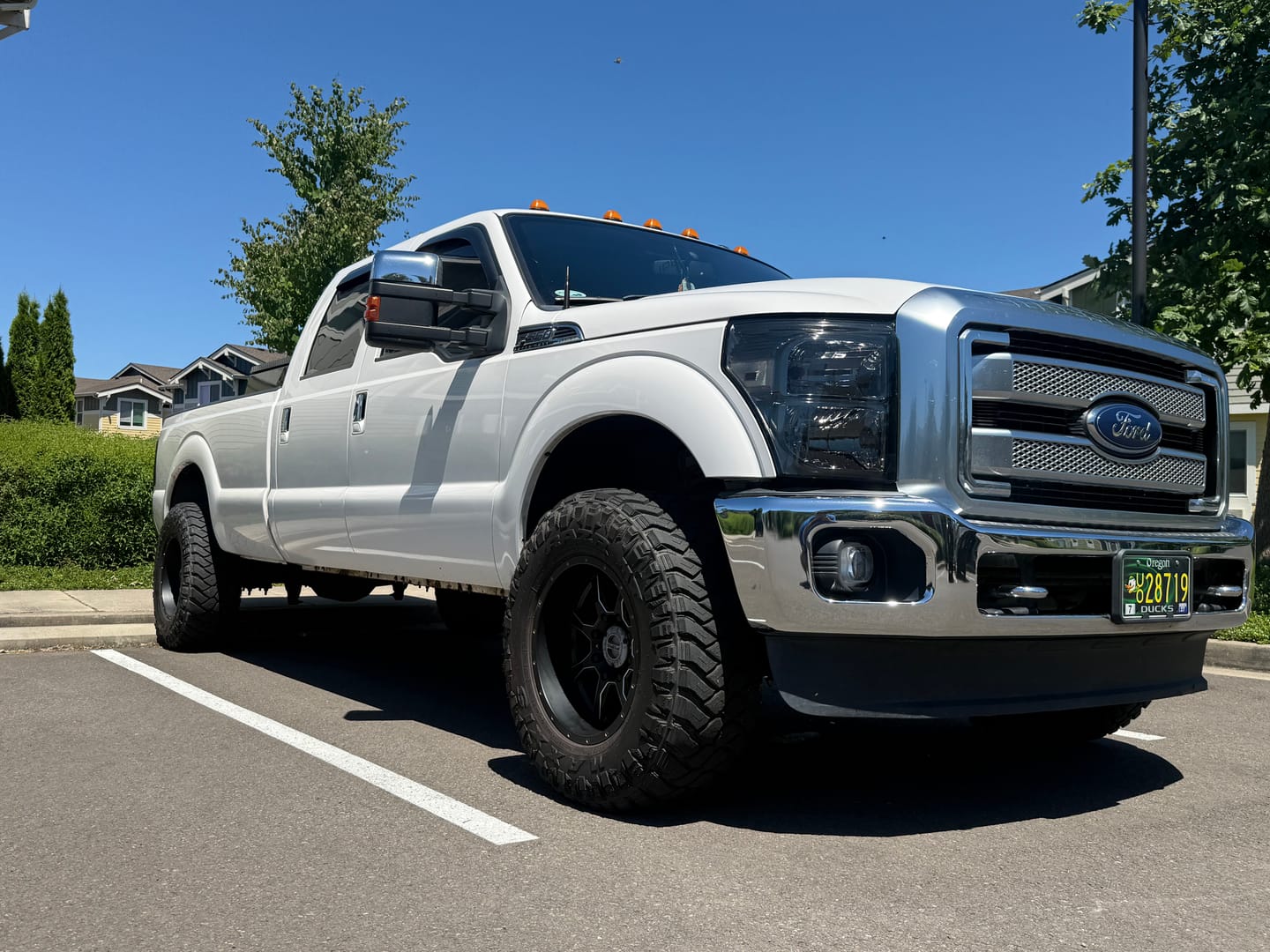 Customer photo review of BEST DAMN WHEEL CLEANER