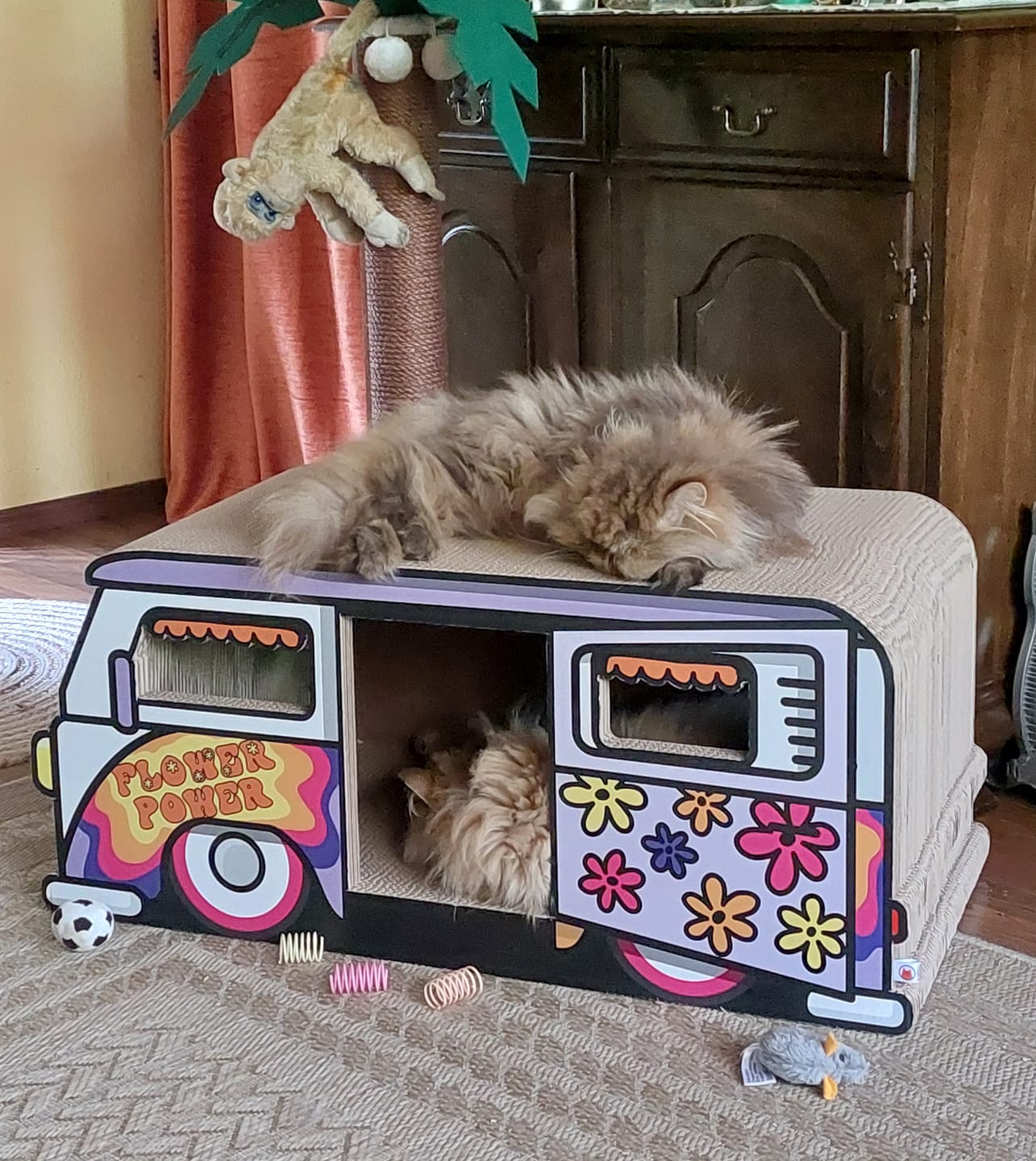 Customer photo review of Hippie-Camper XXL