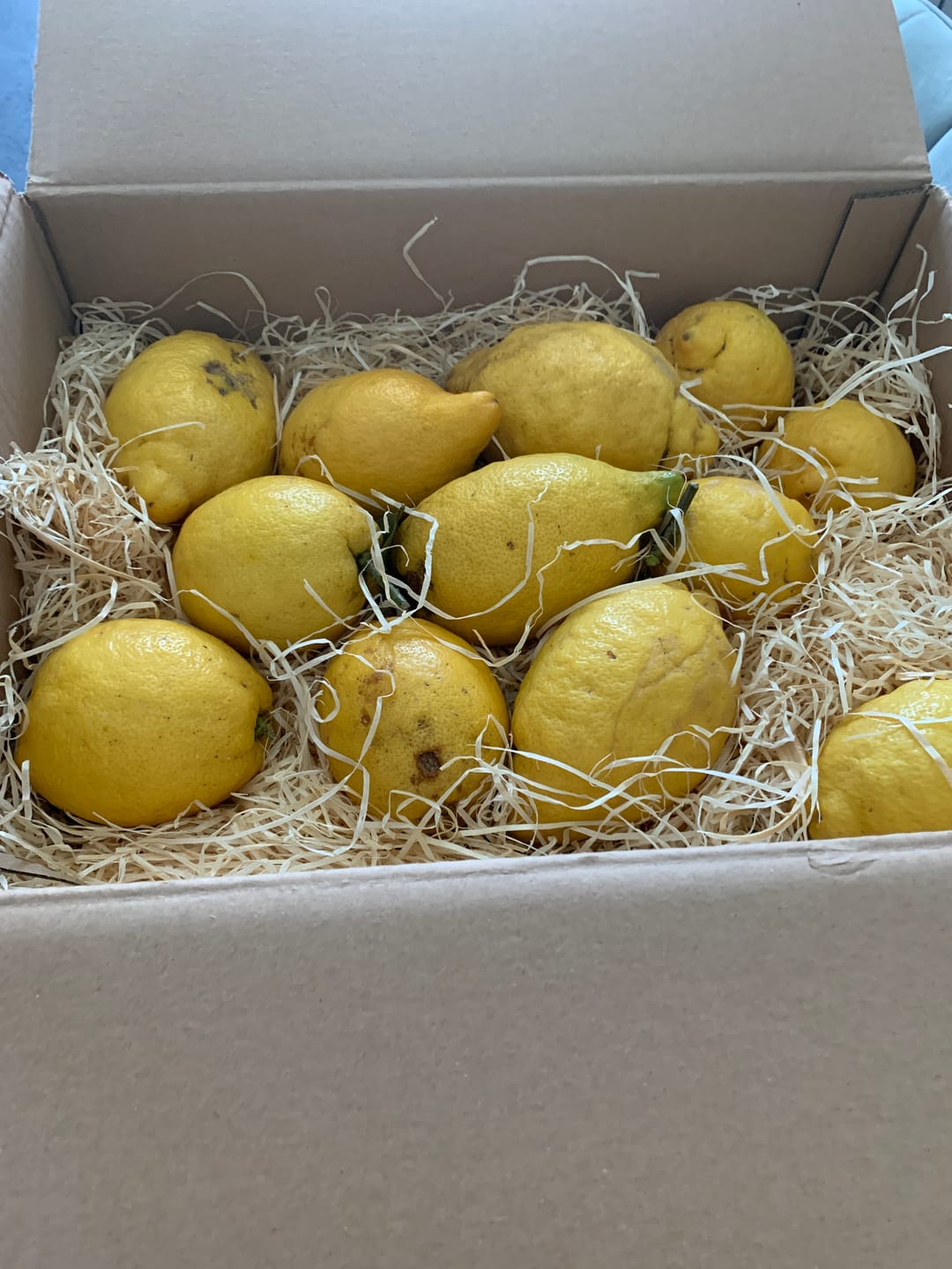 Customer photo review of Ätna Zitronen Bio aus Sizilien 4kg Box Sparpreis %