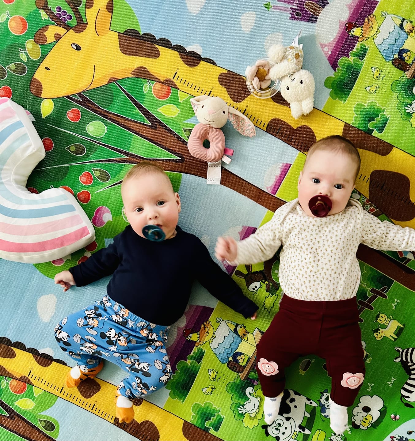 Customer photo review of BIBS Colour cumiszett - 4 cumi, választható színben