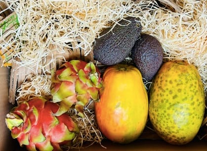 Customer photo review of Probierbox "Exotische Früchte"