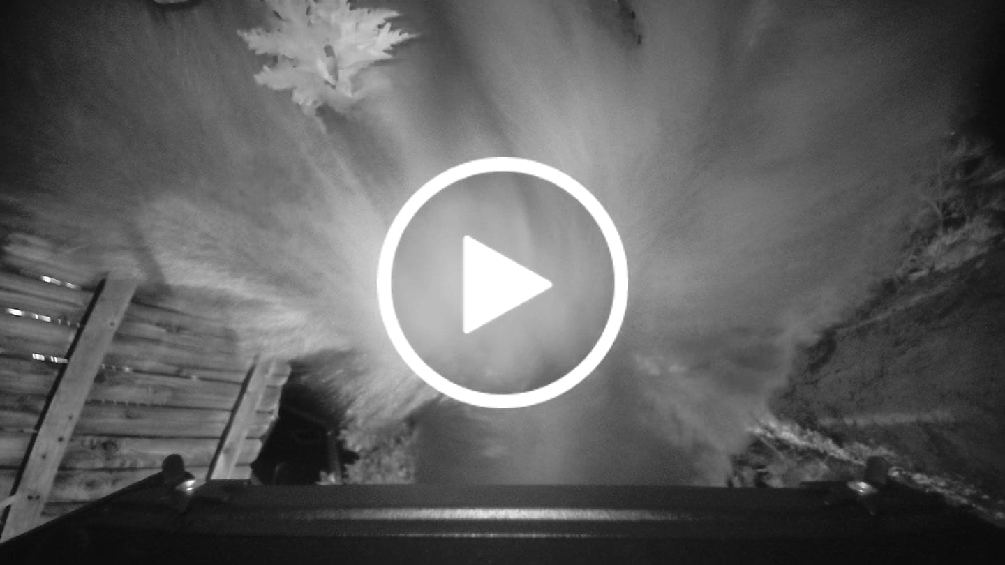 Customer video review of Birdfy Feeder Metal 2 4K - Smart Bird Feeder with Camera