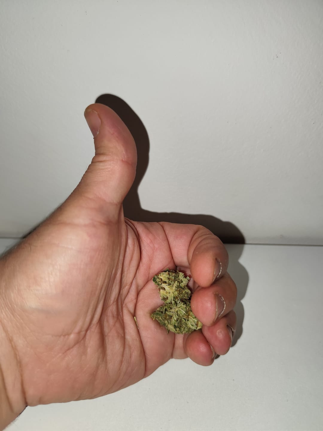 Customer photo review of Amnesia Hydro CBD Flower ~14-18%