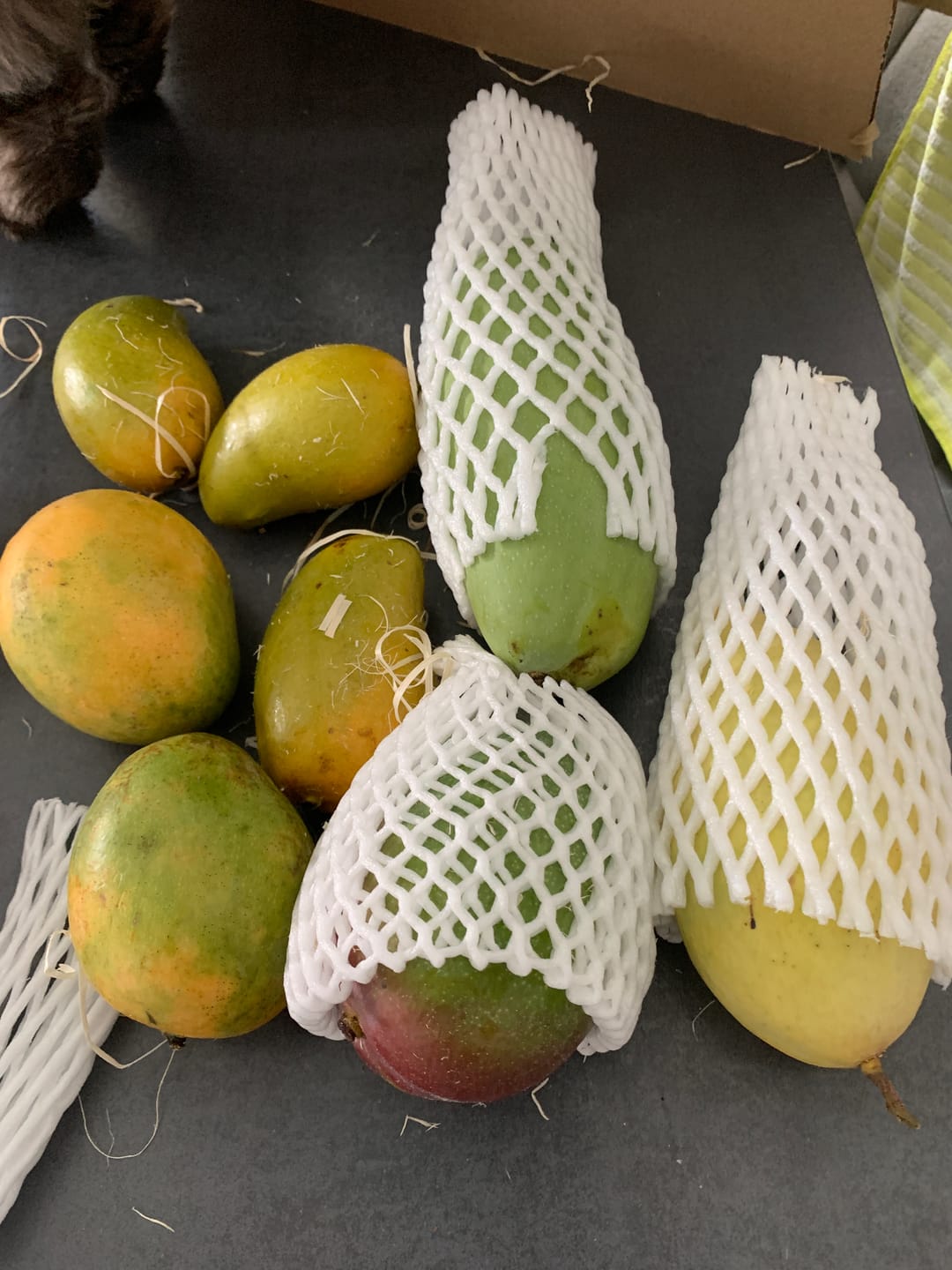 Customer photo review of Mango Entdeckerbox