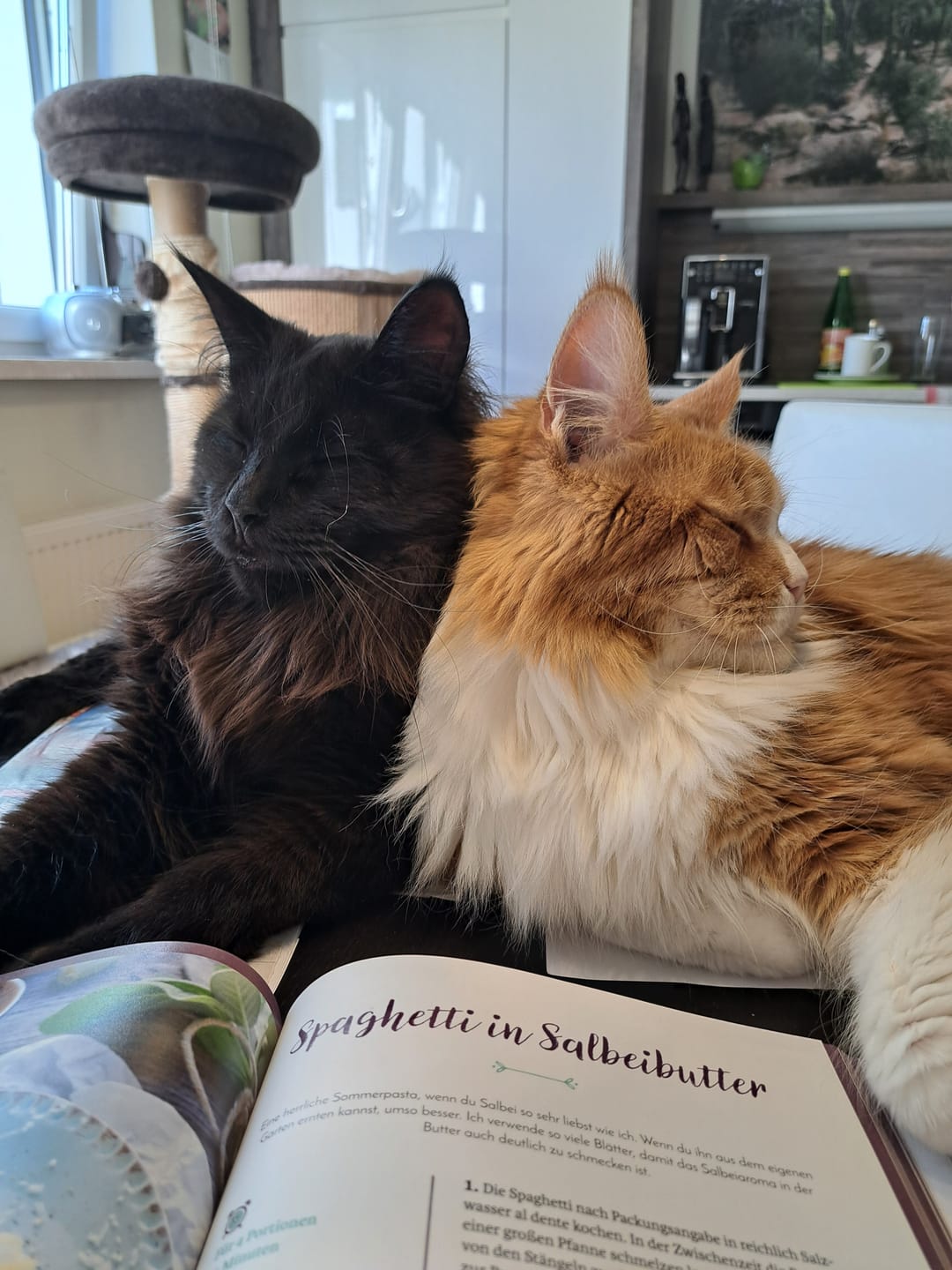 Customer photo review of Urin Überwachung Streuzusatz