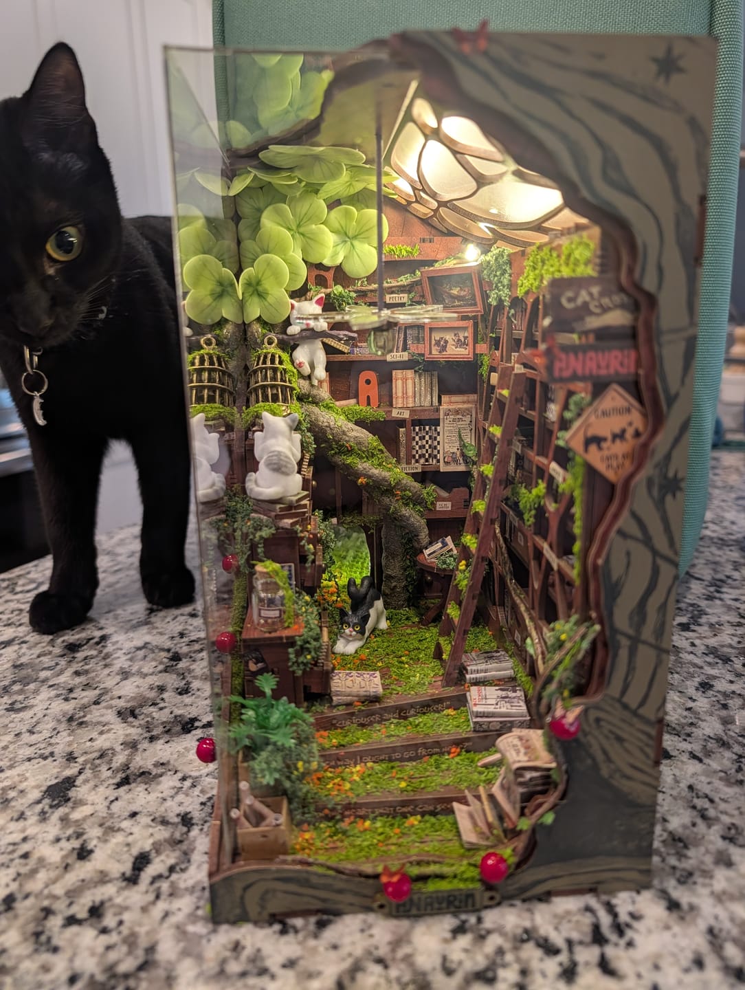 Customer photo review of Cats Crossing Book Nook Kit
