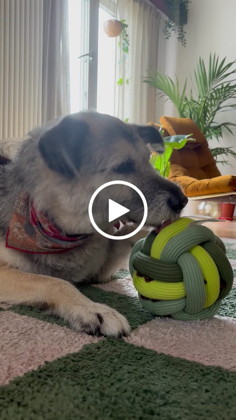 Customer video review of The Twisty Ball – Interaktiver Schnüffelball für Hunde