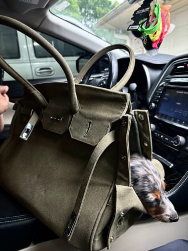 Customer photo review of The Barkin Pet Carrier