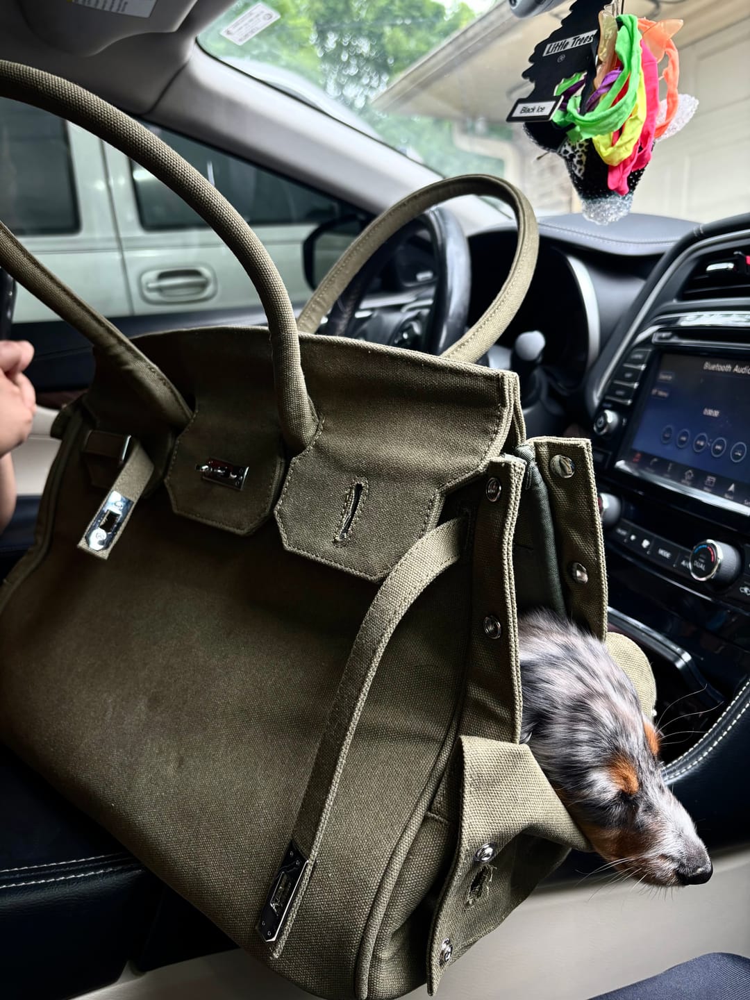 Customer photo review of The Barkin Pet Carrier