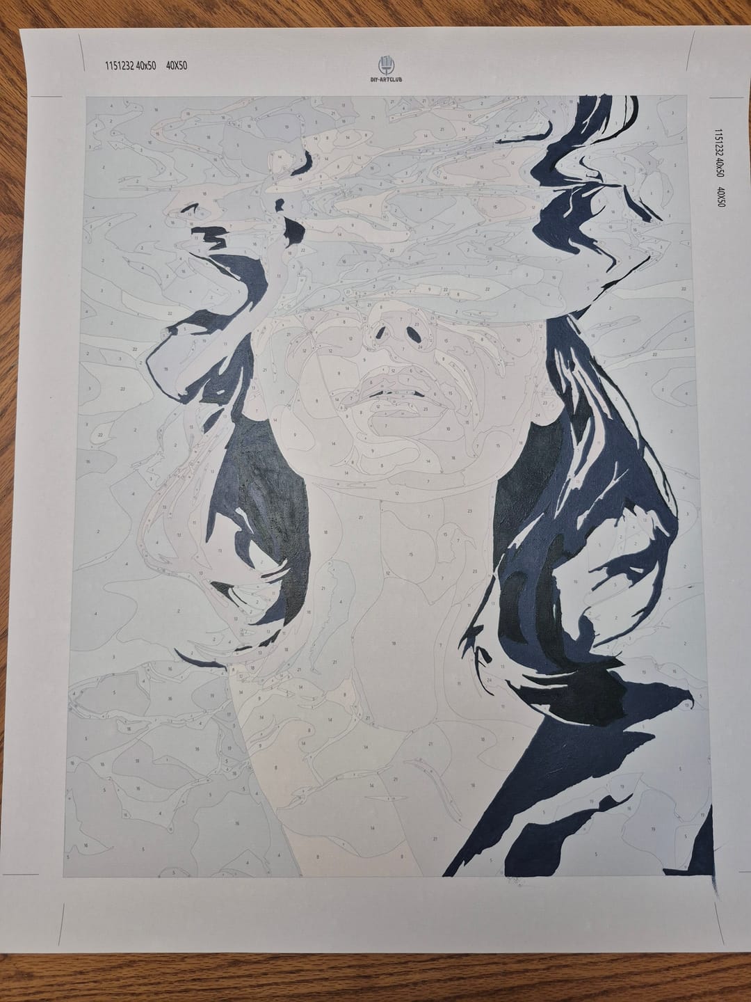Customer photo review of Under | Paint by Number
