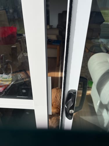 Customer photo review of Patio Pet Door Insert