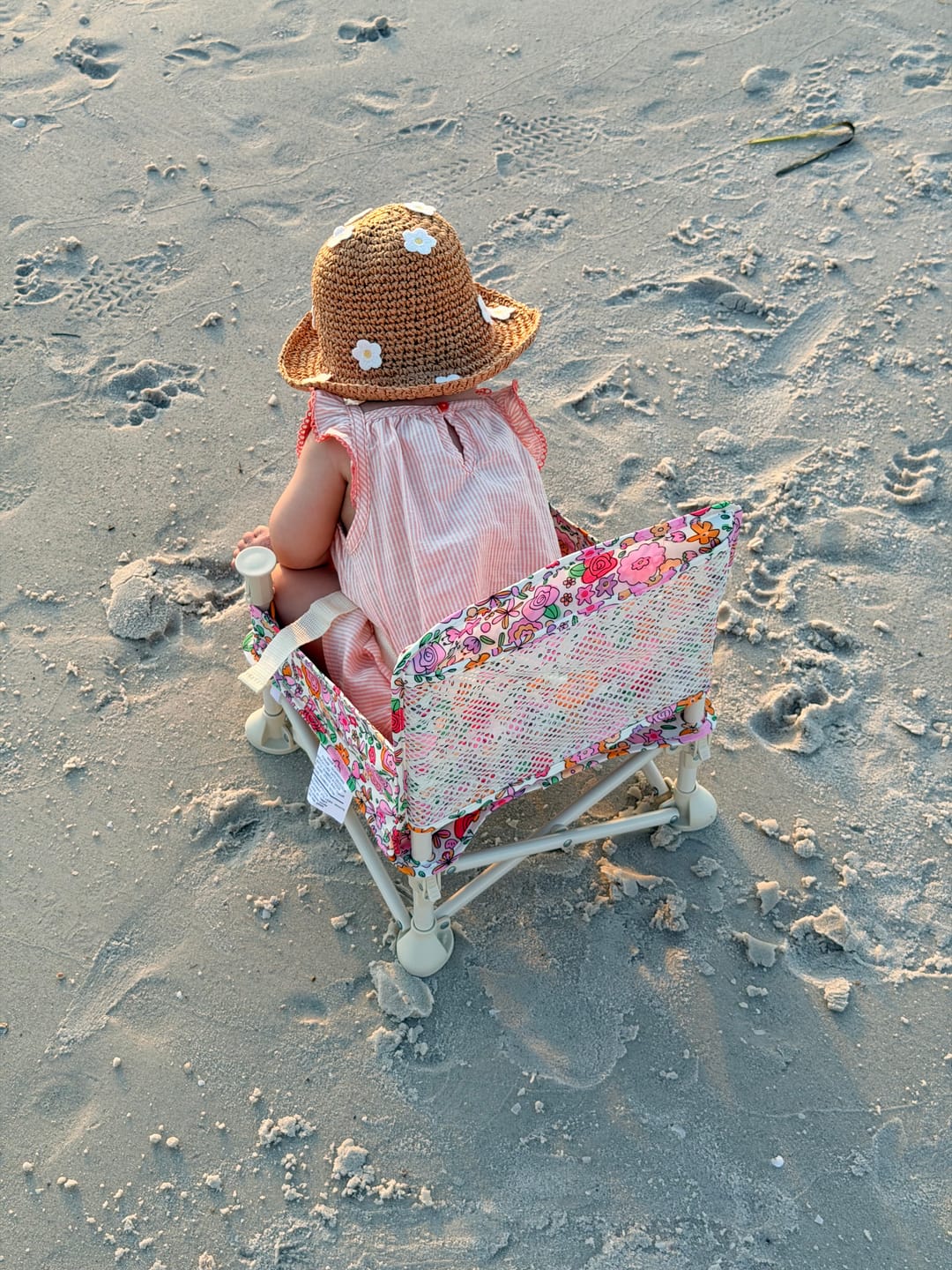 Customer photo review of Paloma portable booster chair V2