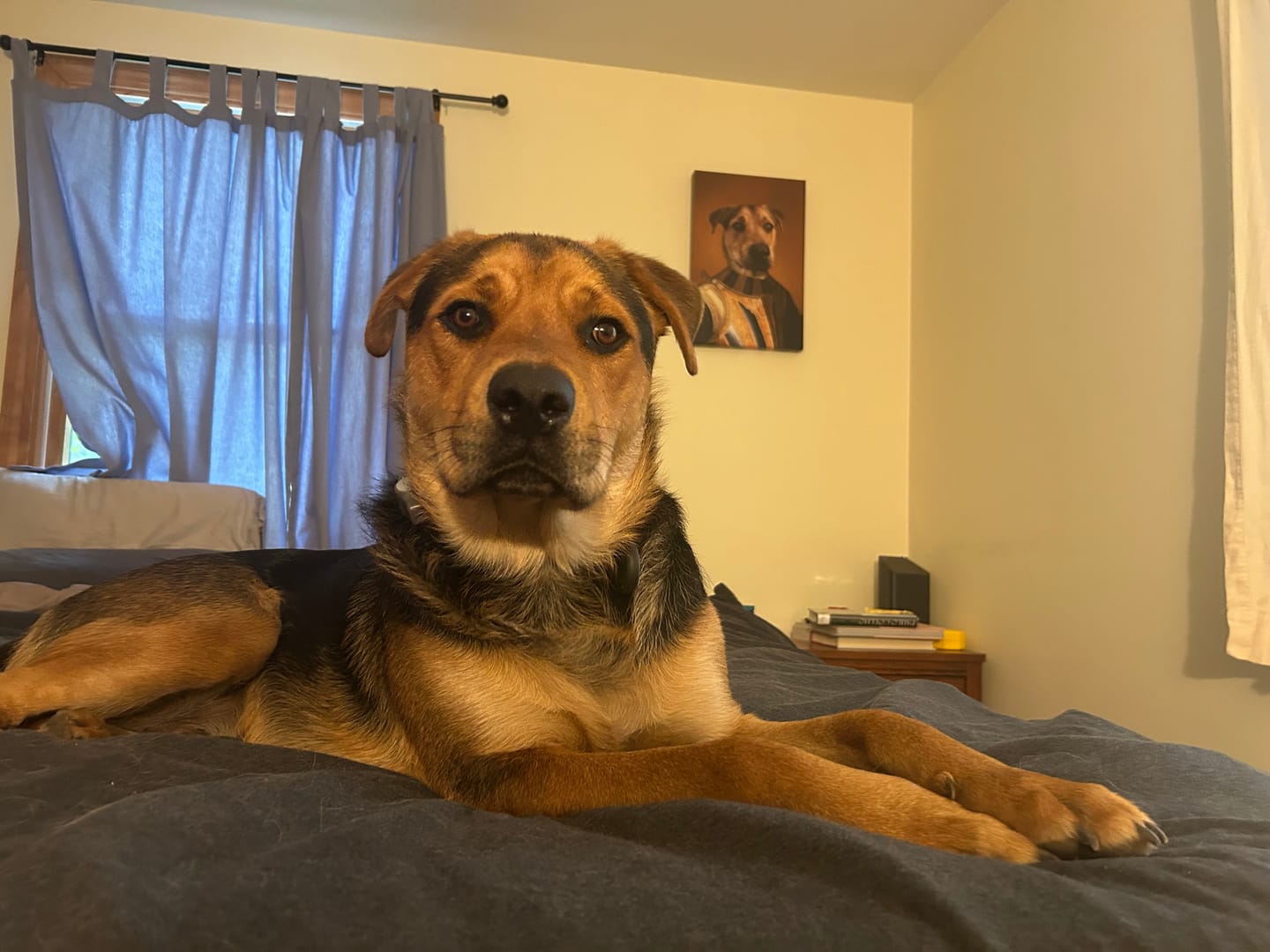 Customer photo review of The Knight - Custom Pet Canvas