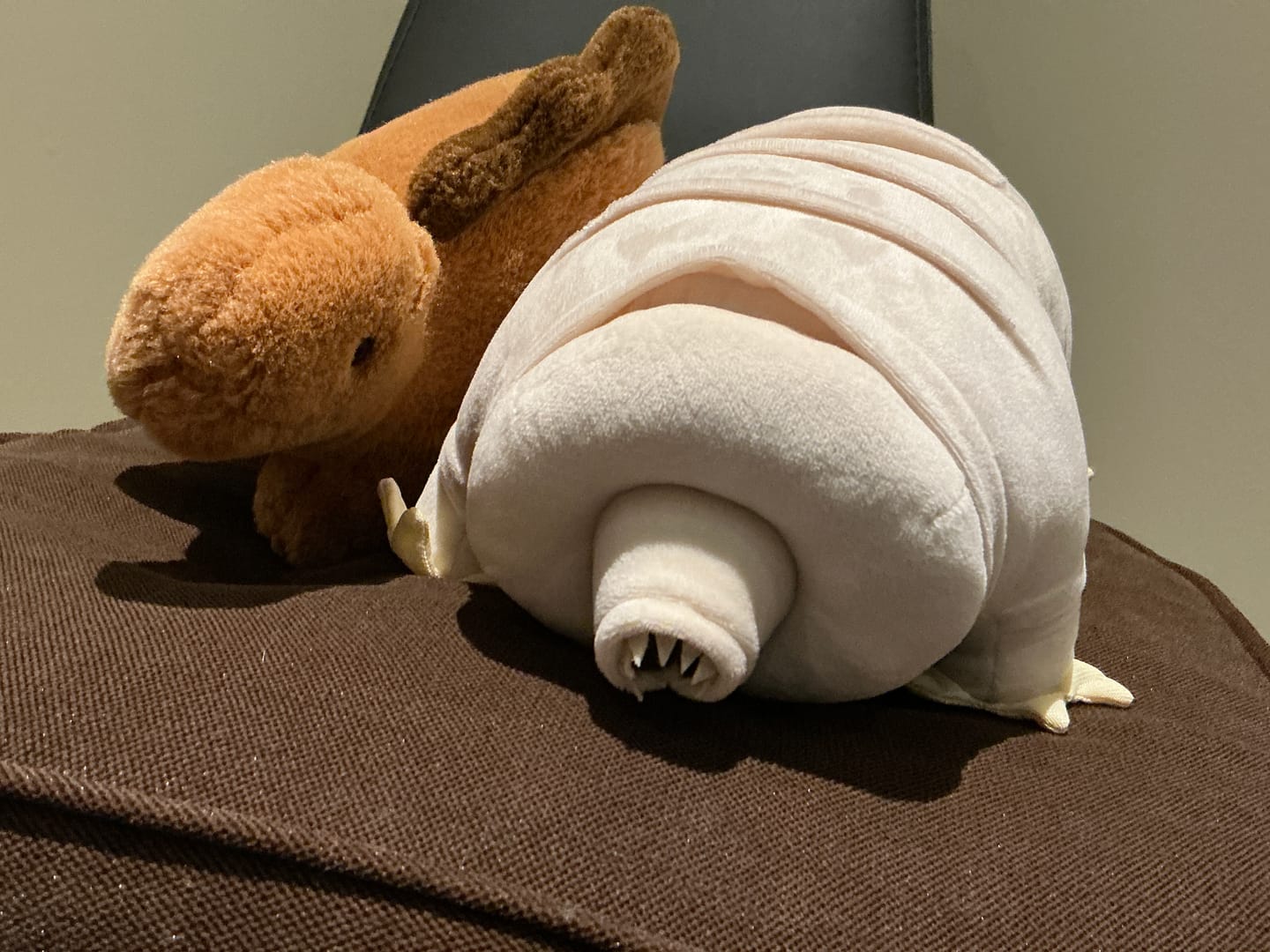 Customer photo review of Tardigrade Water Bear Soft Stuffed Plush Toy