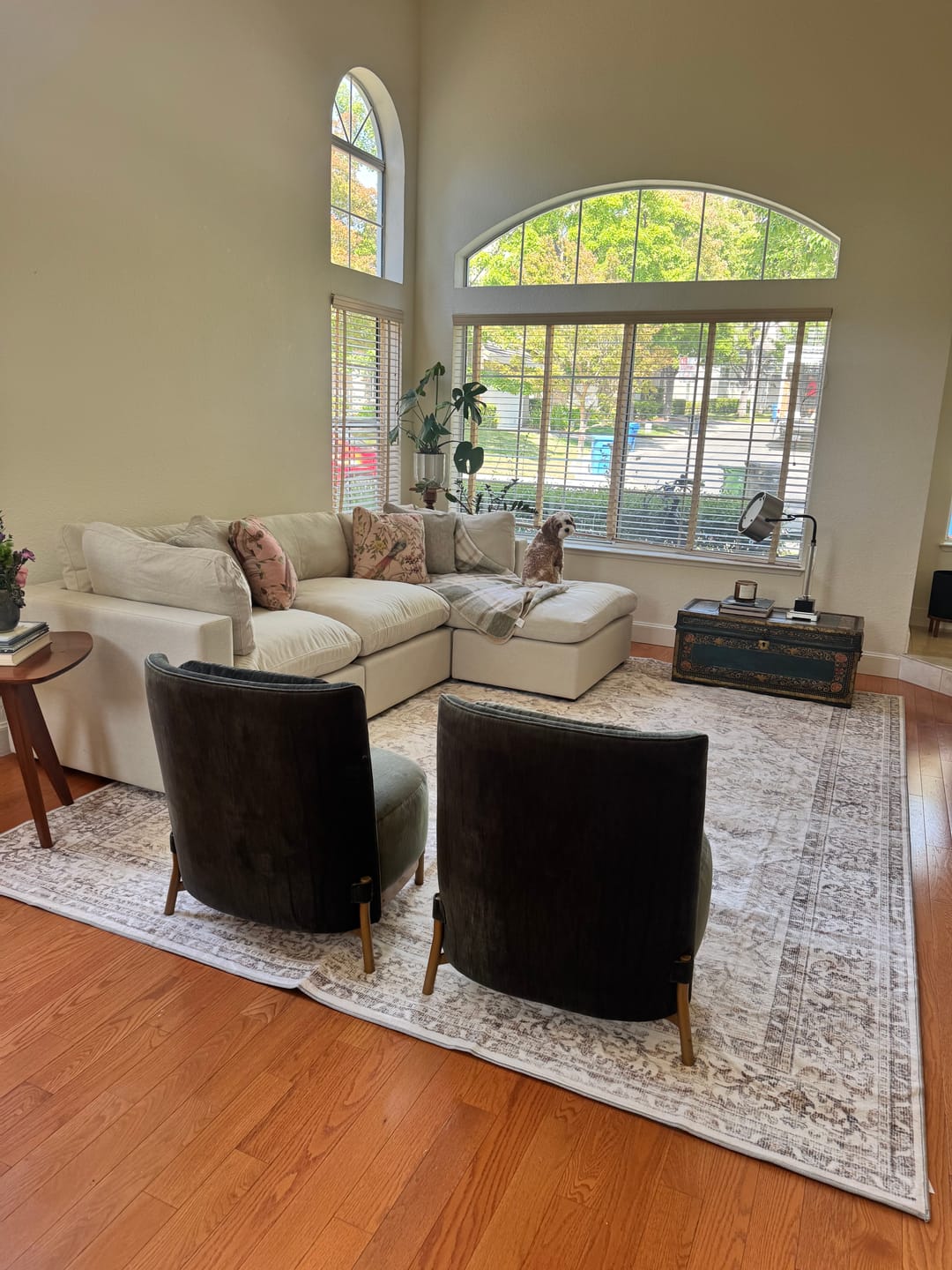 Customer photo review of Velora Washable Area Rug - Beige