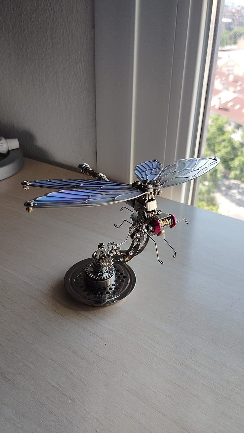 Customer photo review of Dragonfly