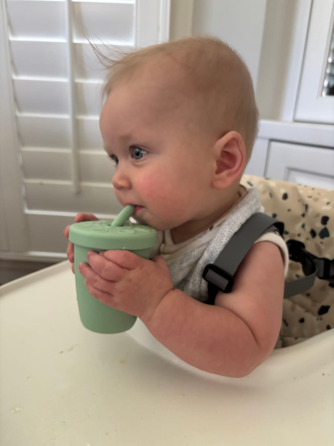 Customer photo review of The Seashell Straw Cup
