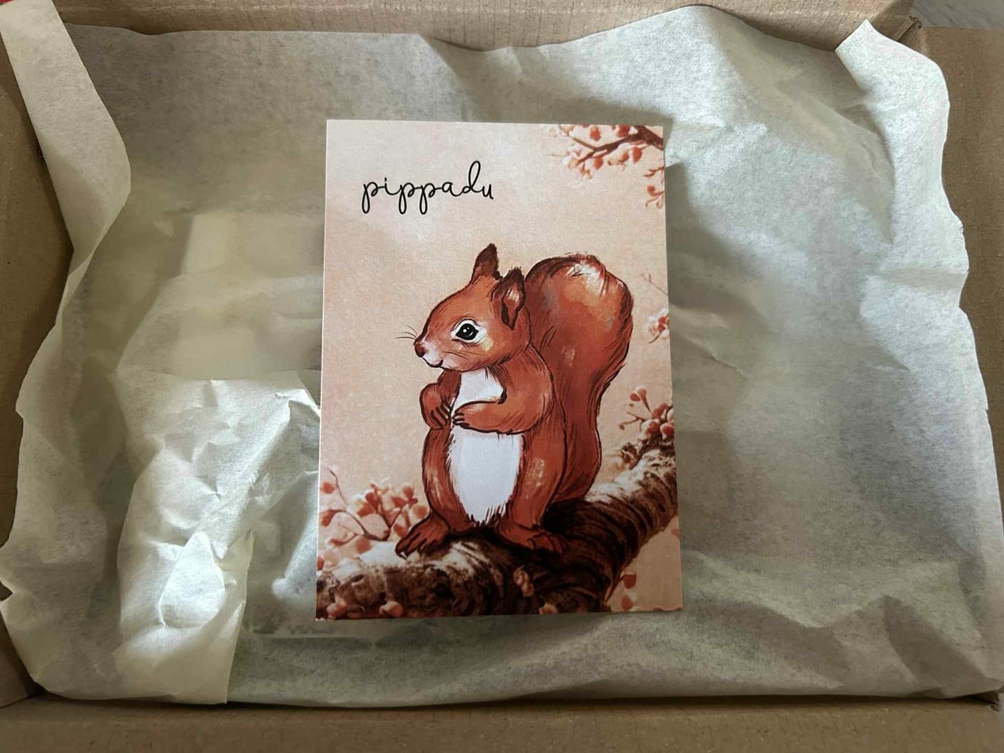 Customer photo review of Pippadu Kisbabám csomag