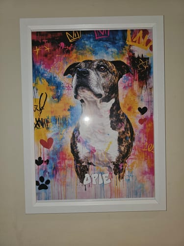 Customer photo review of Personalised Poster With Dog or Cat - Graffiti