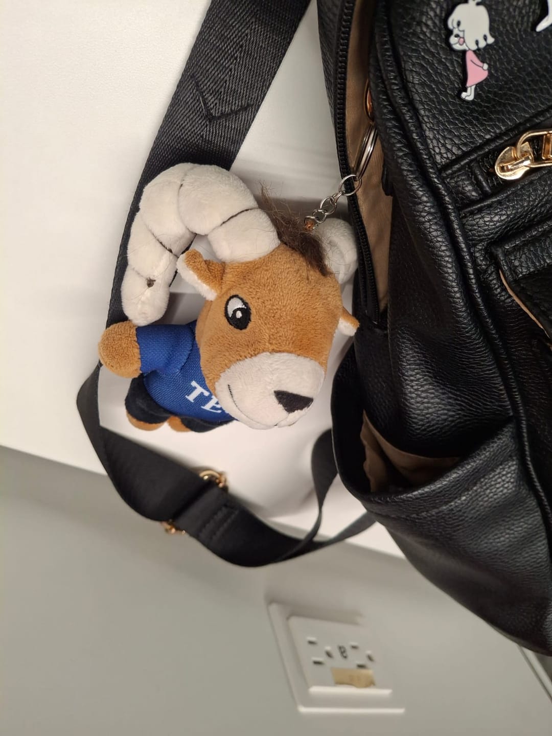 Customer photo review of Teus Peluche Mini Llavero