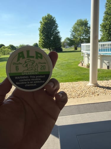 Customer photo review of Spearmint Nicotine Pouches