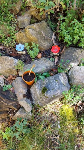Customer photo review of La Pause des Abeilles®