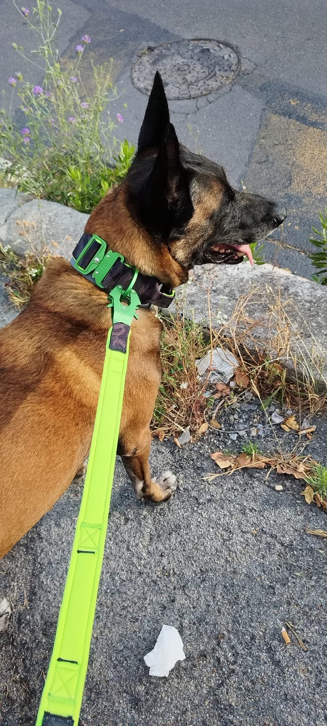 Customer photo review of Guinzaglio Sniper 2.0