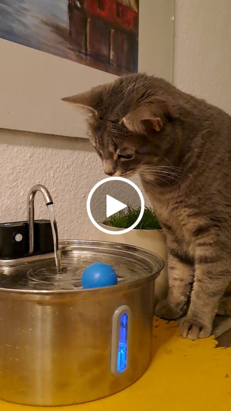 Customer video review of NordFlow 2.0 Katzenbrunnen