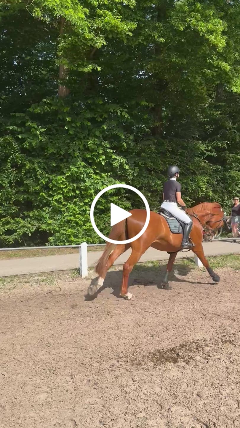 Customer video review of Caja Turniershirt Kurzarm