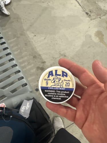 Customer photo review of Chilled Mint Nicotine Pouches