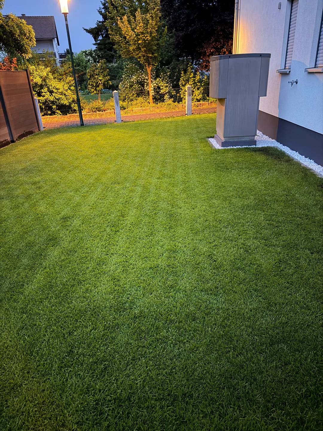 Customer photo review of RASENBLITZ™ - SOMMERDÜNGER