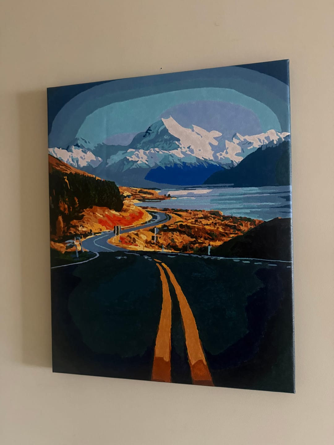 Customer photo review of Aoraki Mount Cook
