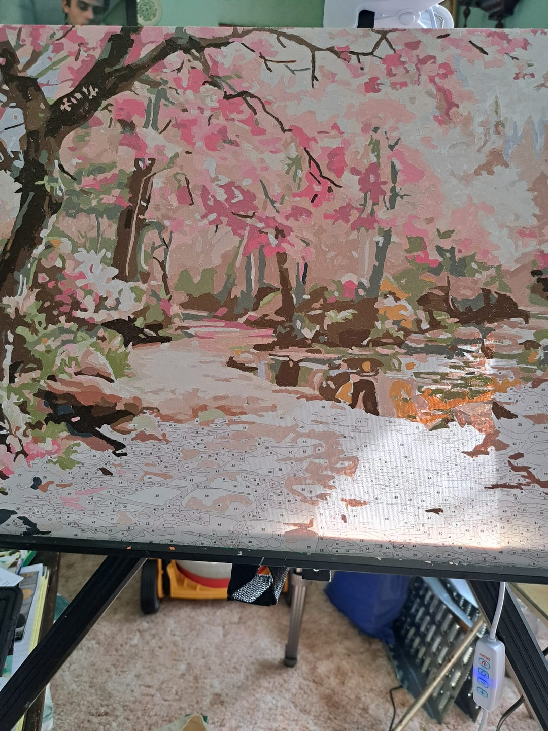 Customer photo review of Serene Sakura Stone Path
