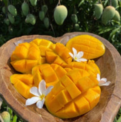 Customer photo review of Mango Mix Box