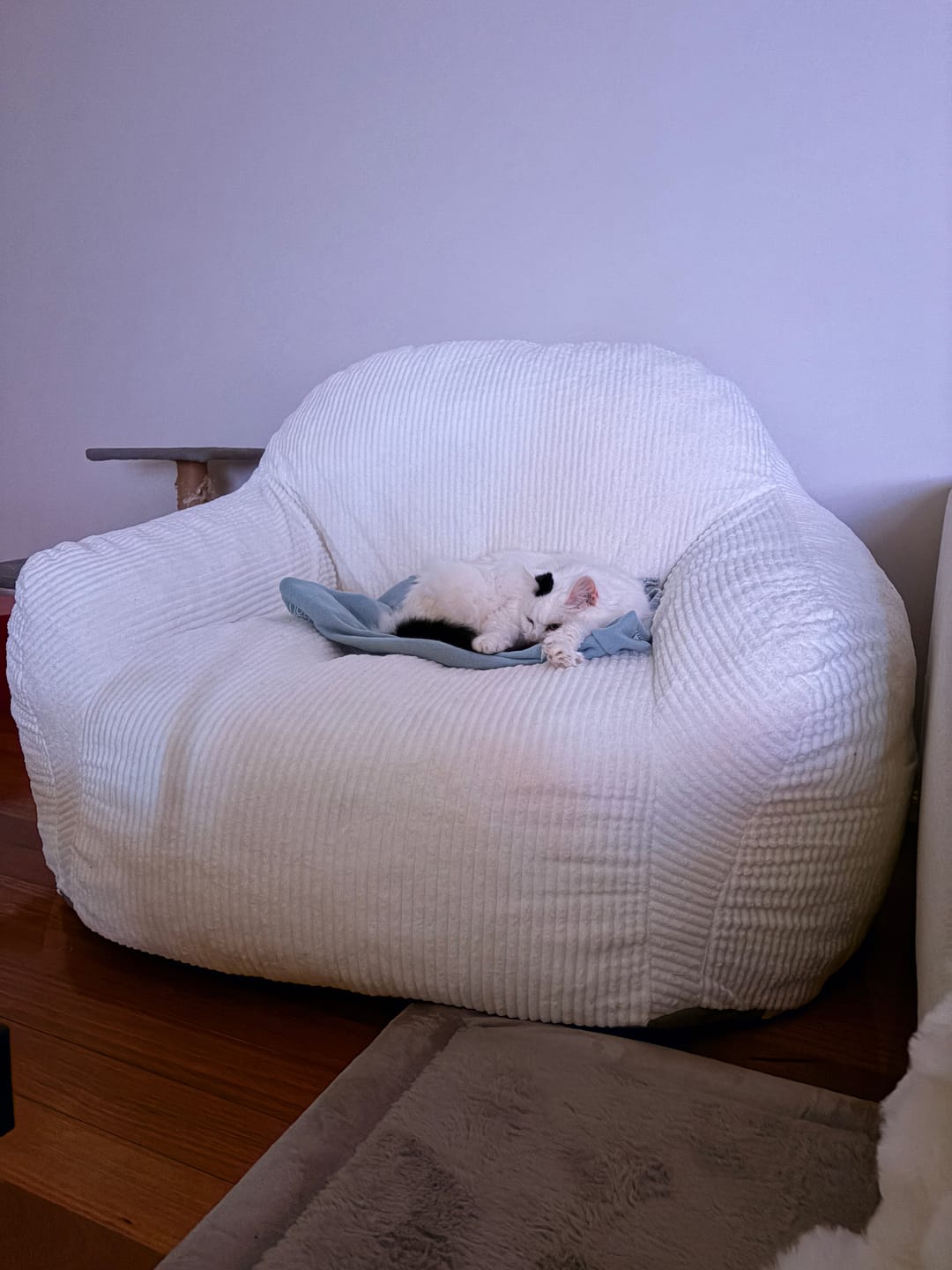 Customer photo review of Luxury Foam Relax Chair