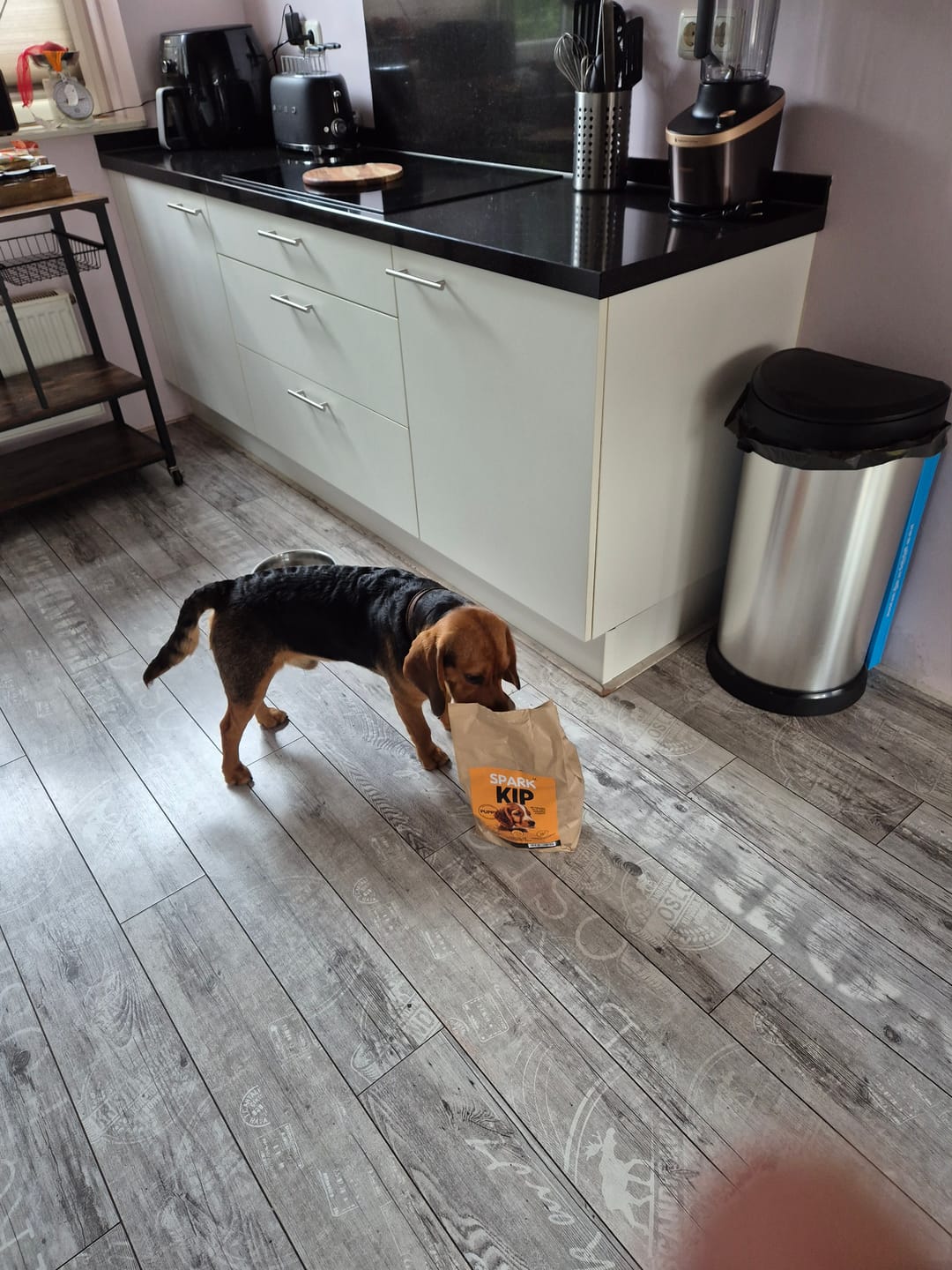 Customer photo review of Puppy - Kip met Kalkoen, Zalm, Zoete Aardappel & Wortel