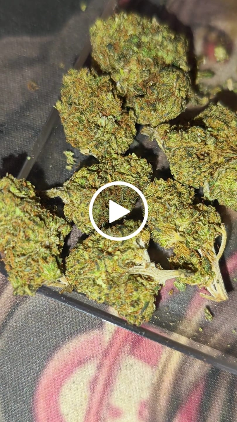 Customer video review of Pineapple Express 9H-HHC