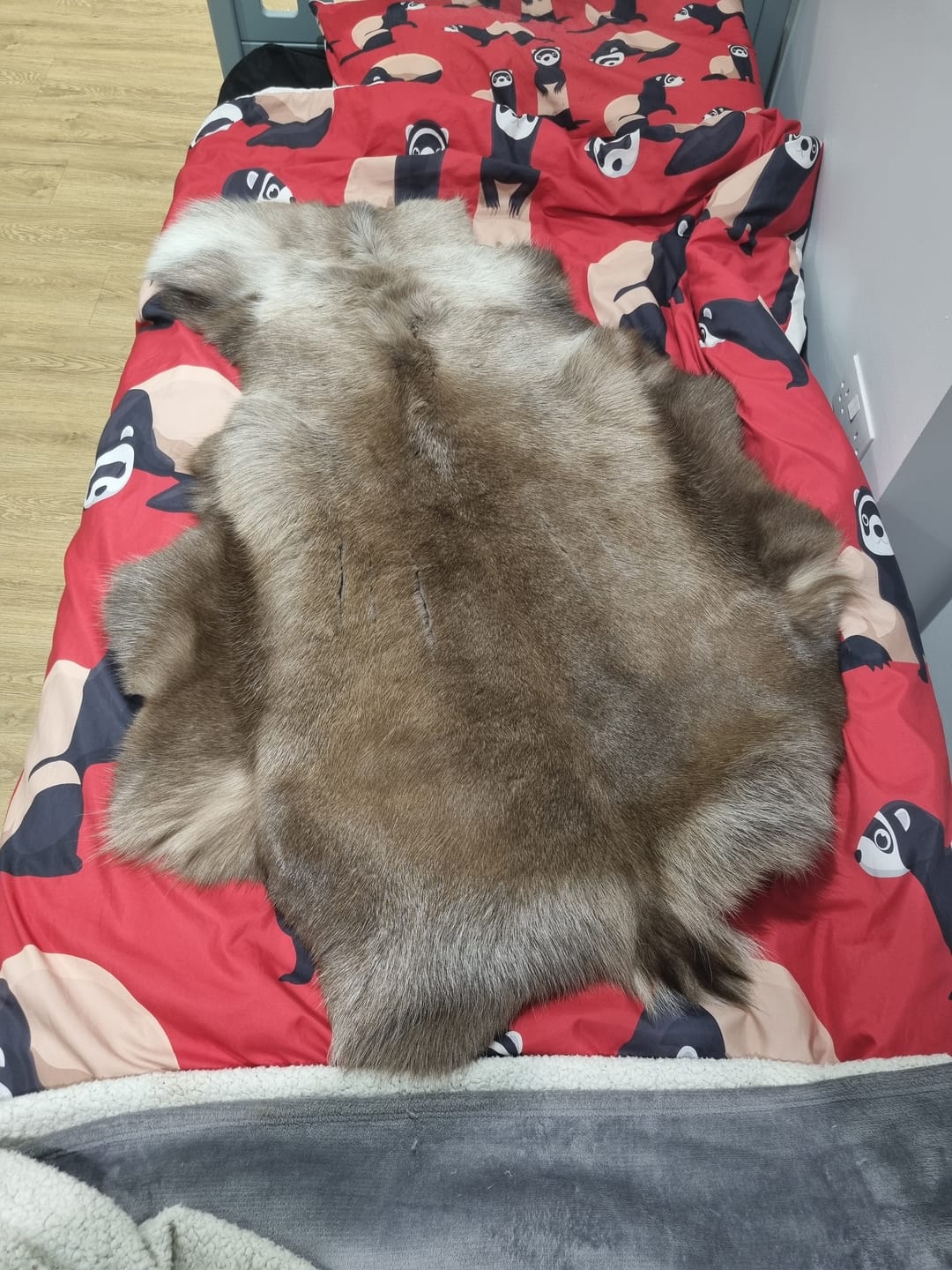 Customer photo review of XL Reindeer Fur Hide - Seconds